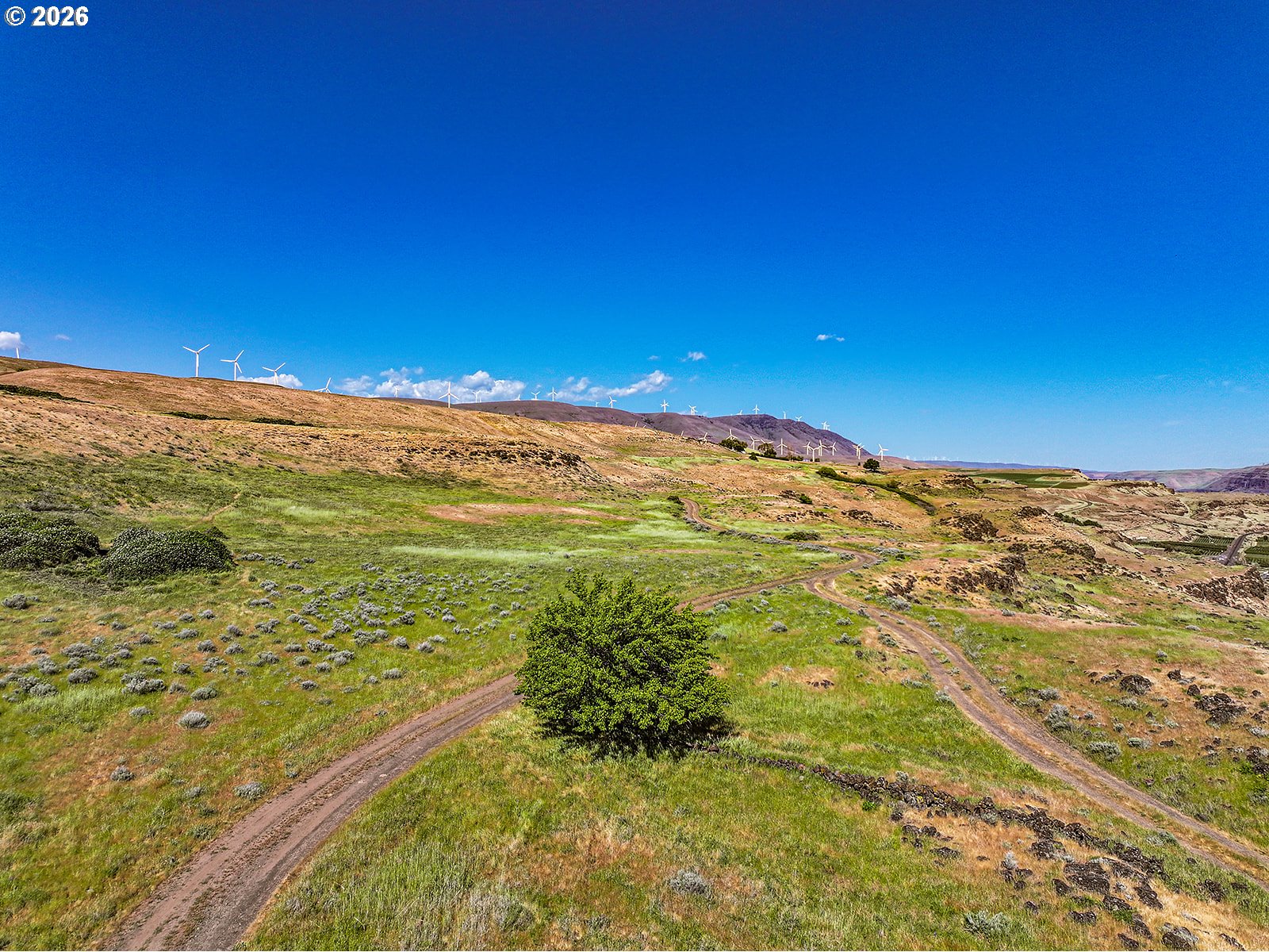80 Maryhill Ranch Road Goldendale, WA 98620 - Photo 33 of 40 Gallery Image 33