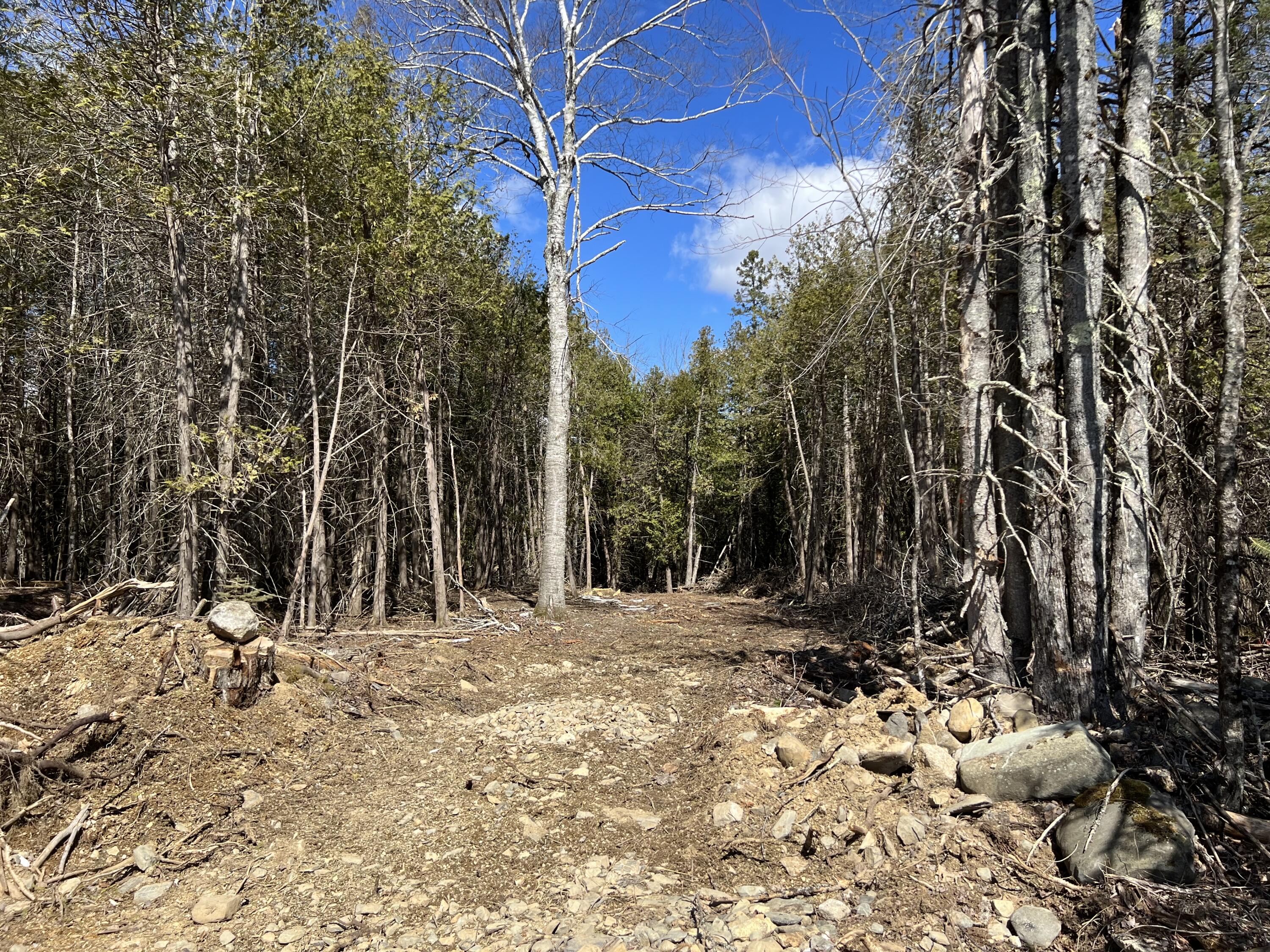 Lot 11-1 Main Road Charleston, ME 04422 - Photo 23 of 39 Snowmobile trail
