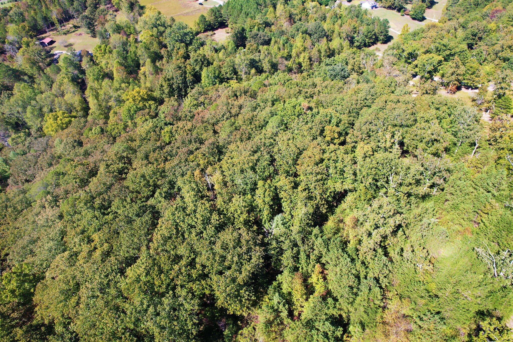 Lot 3 Eads Bluff Road Northwest Georgetown, TN 37336 - Photo 15 of 17 11-web-or-mls-DJI_0865