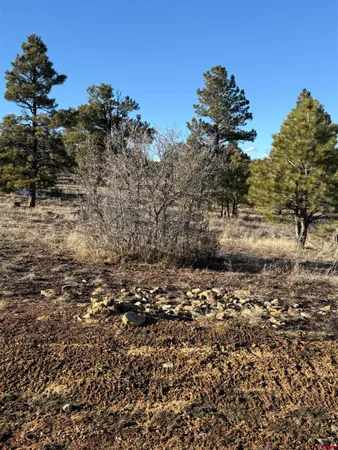 a view of dirt yard