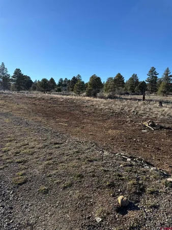 $18,500 | 77 Bonita Drive, Pagosa Springs, CO 81147