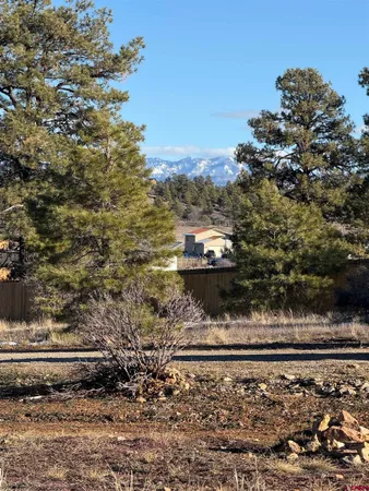 a view of a yard with wooden fence