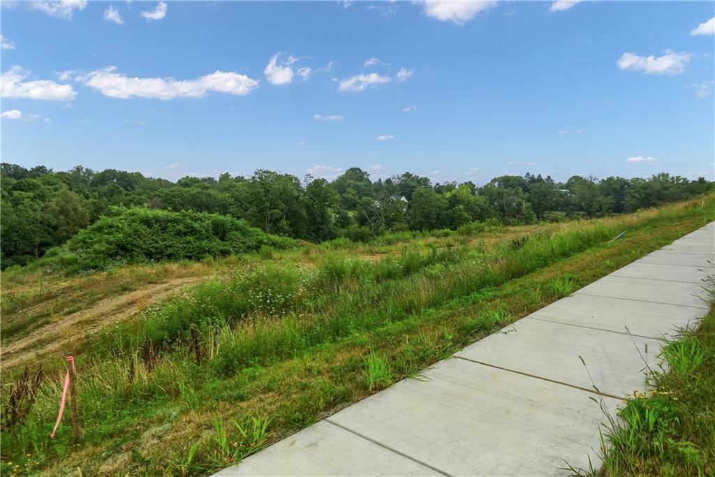 a view of a pathway both side of grassy field with shrub