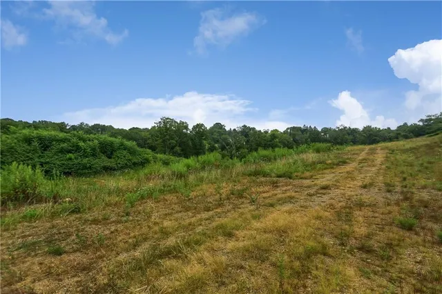 a view of lake with green space