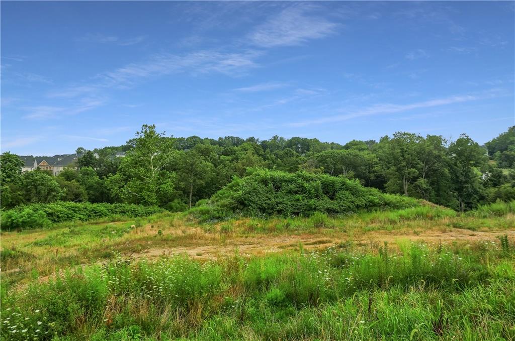Lot 4 Beaver Grade Road McKees Rocks, PA 15136 - Photo 3 of 11 a view of a lush green space