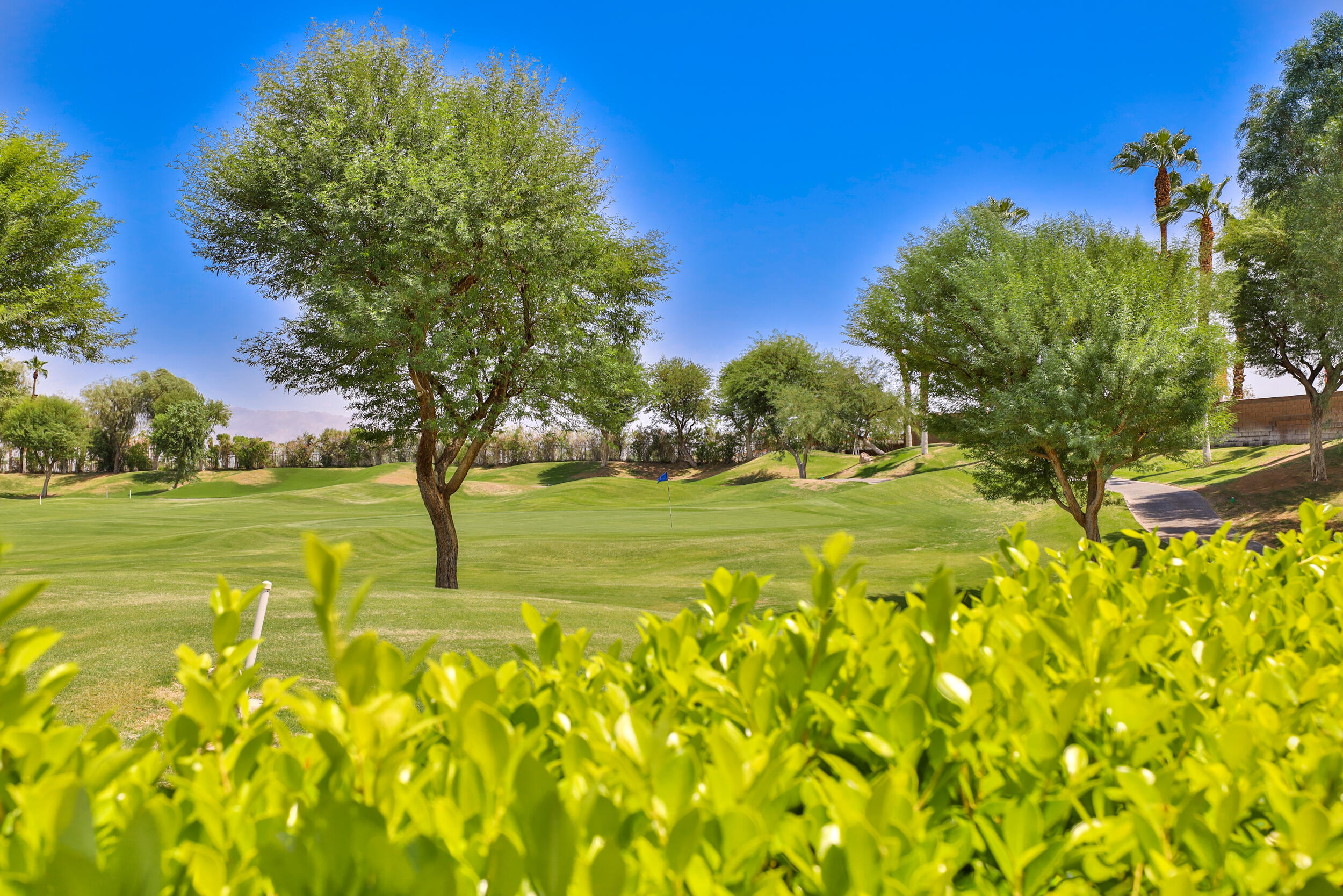 44410 Royal Lytham Drive Indio, CA 92201 - Photo 33 of 72 a view of an ocean with a big yard