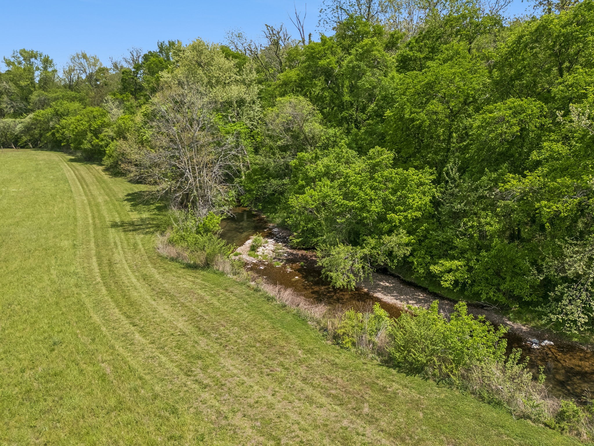 2461 Bodenham Road Pulaski, TN 38478 - Photo 94 of 100 a view of a yard with an outdoor space