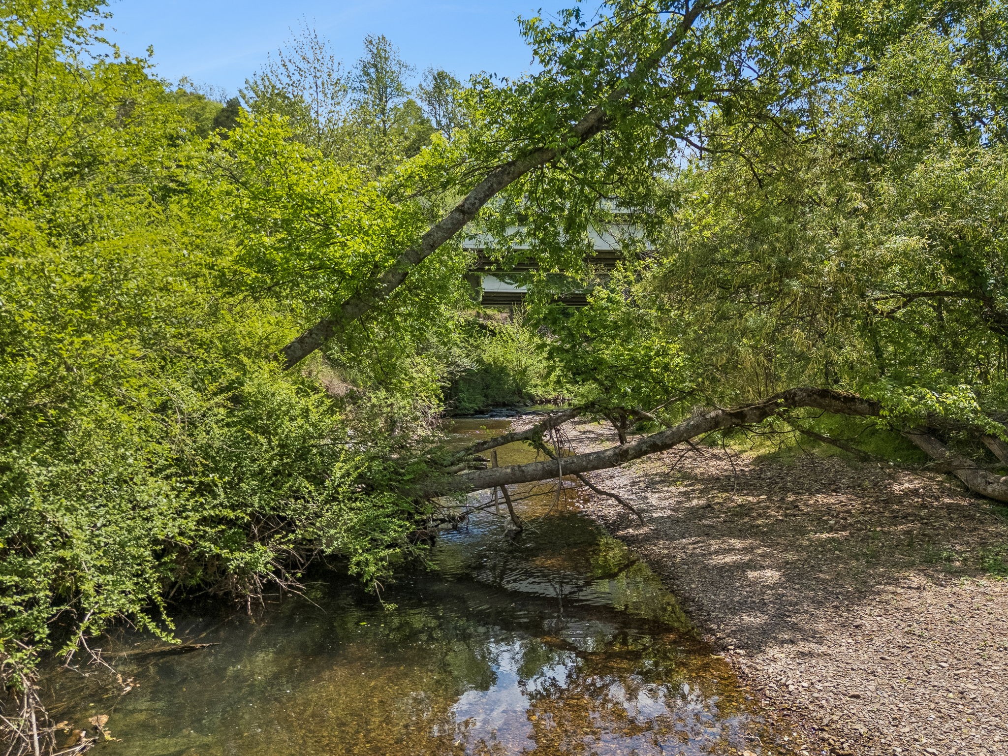 2461 Bodenham Road Pulaski, TN 38478 - Photo 95 of 100