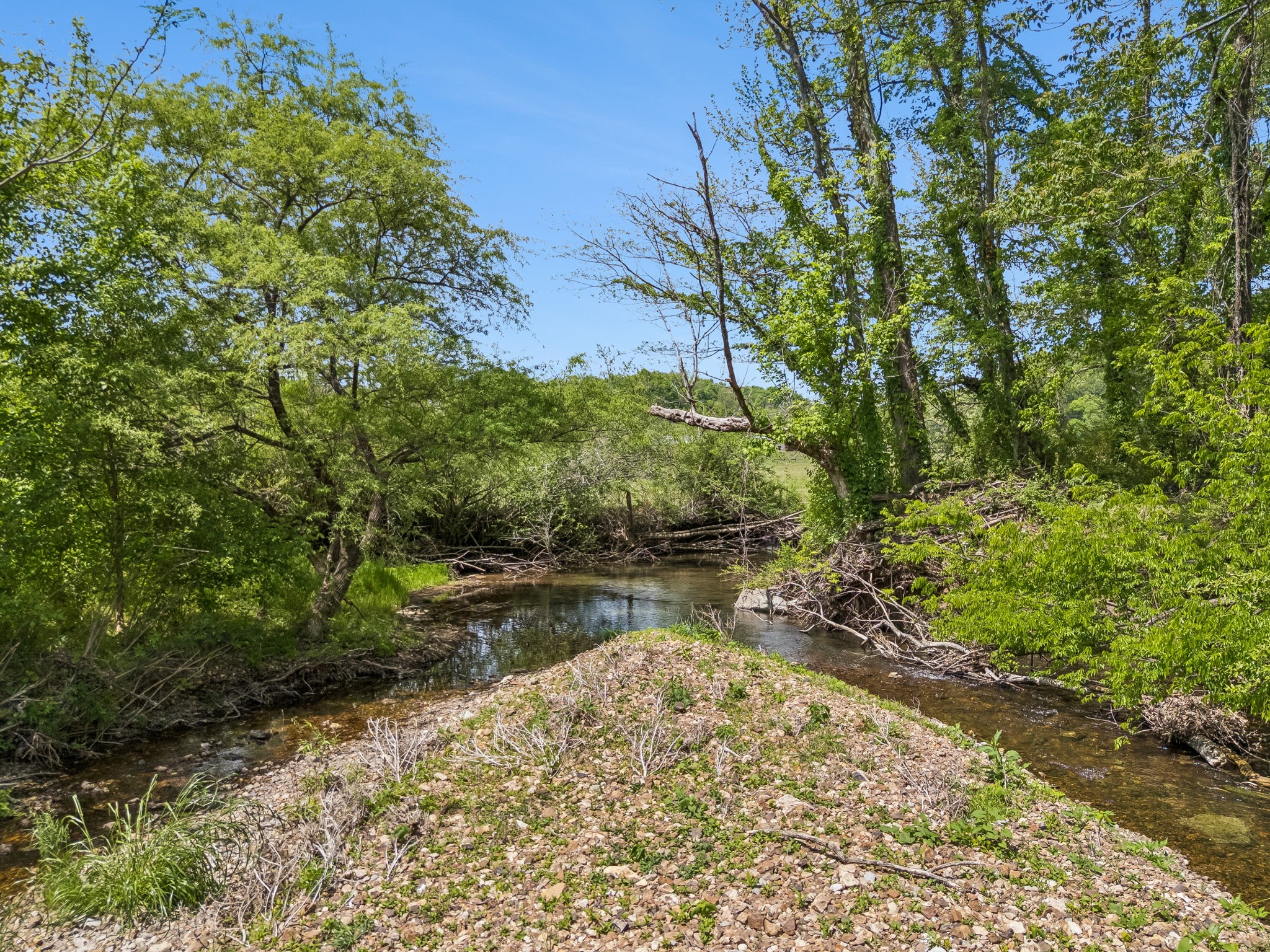 2461 Bodenham Road Pulaski, TN 38478 - Photo 96 of 100
