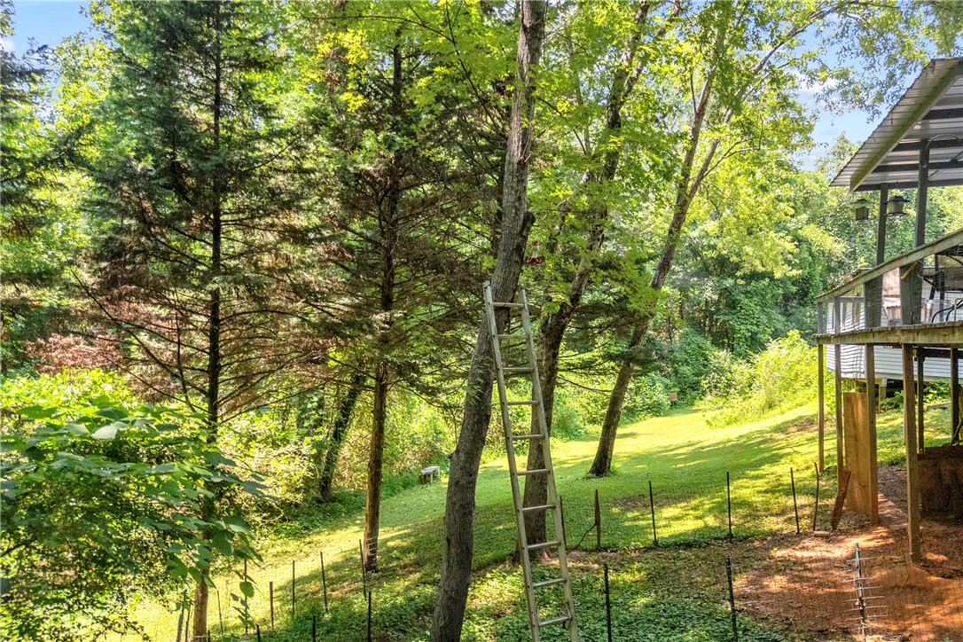 162 Newberry Road Walhalla, SC 29691 - Photo 49 of 50 A verdant backyard retreat offering privacy and natural beauty, perfect for outdoor living.