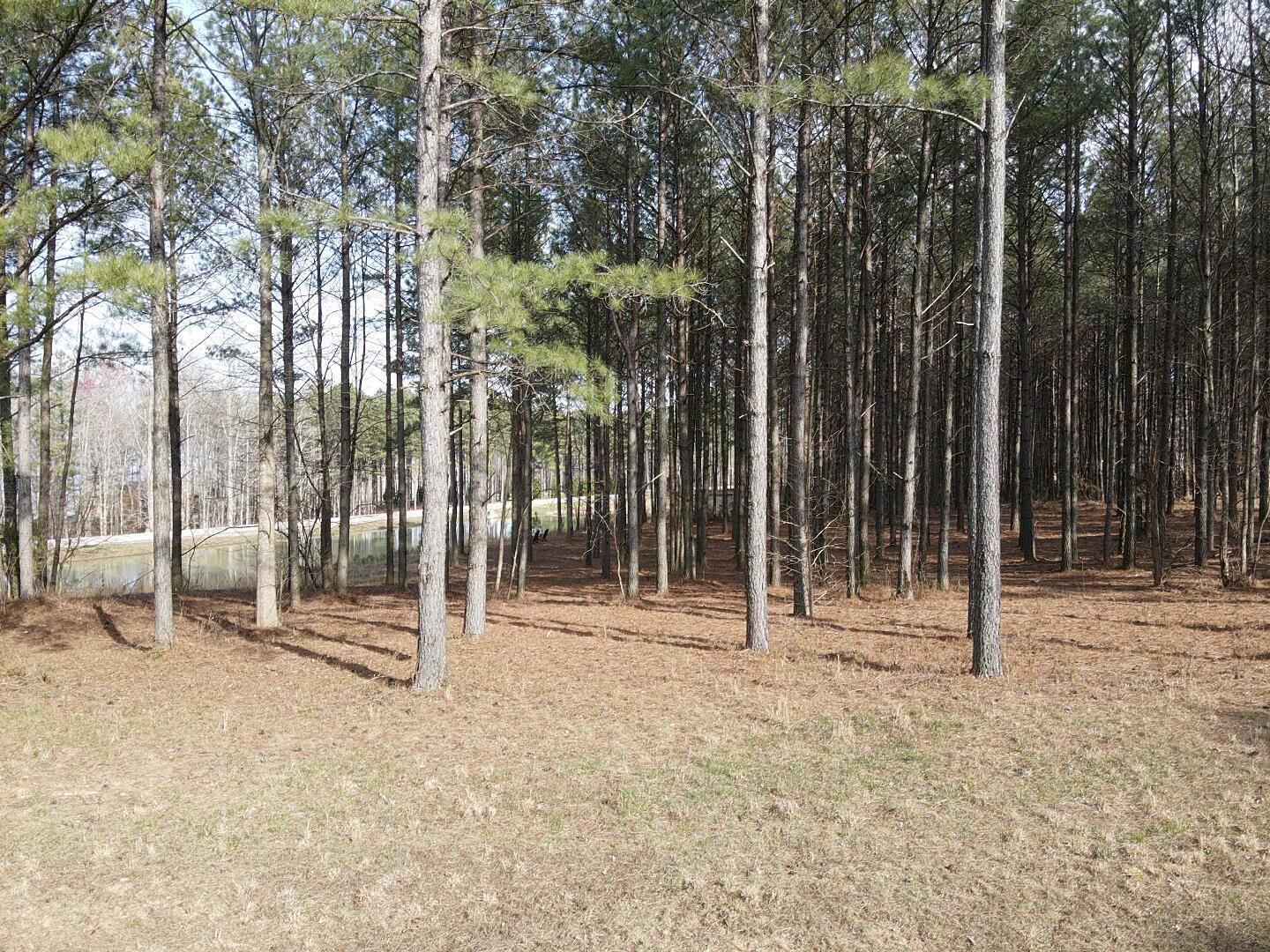 179 High Point Lane Jasper, TN 37347 - Photo 32 of 91 2024-03-21-16-12-48-915
