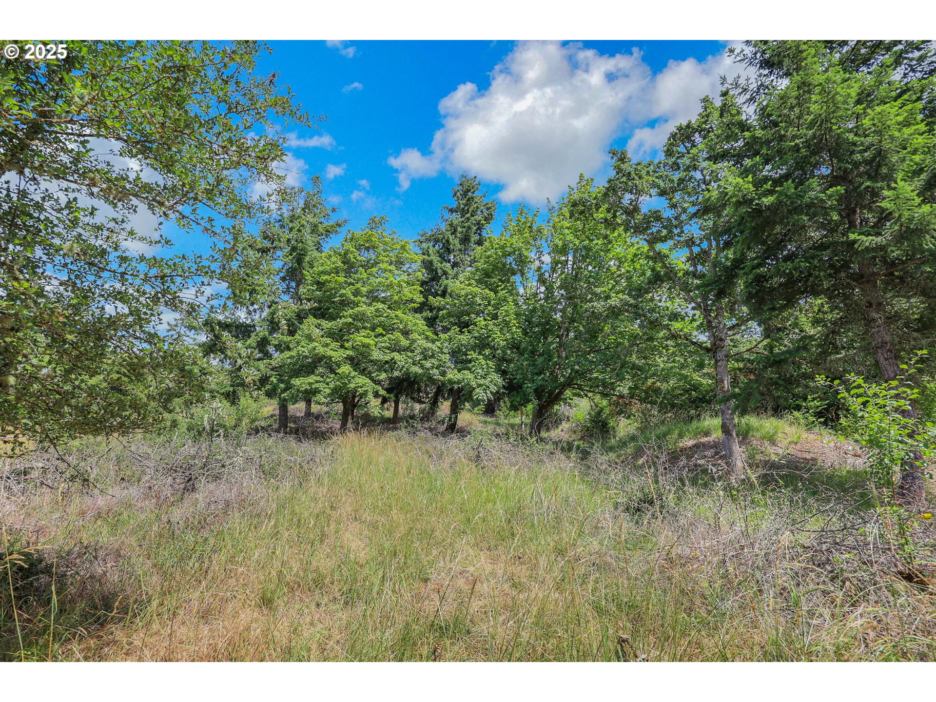 3980 North Shasta Loop Eugene, OR 97405 - Photo 45 of 46