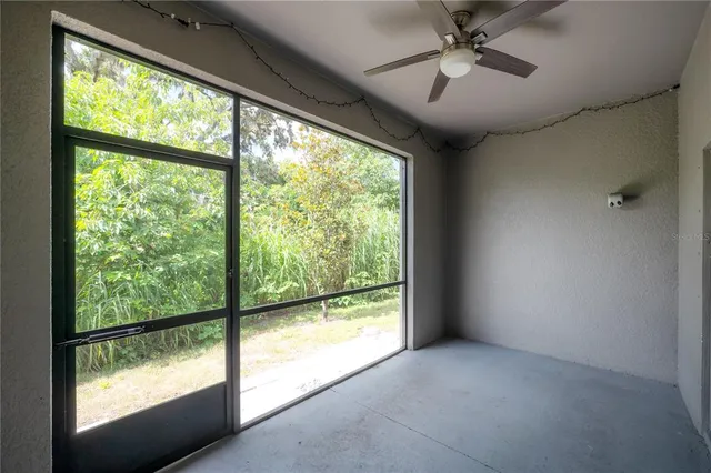 a view of backyard with potted plants