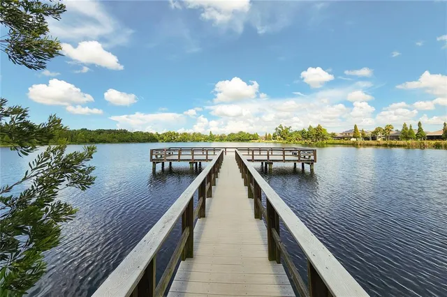 a view of a park with a bench