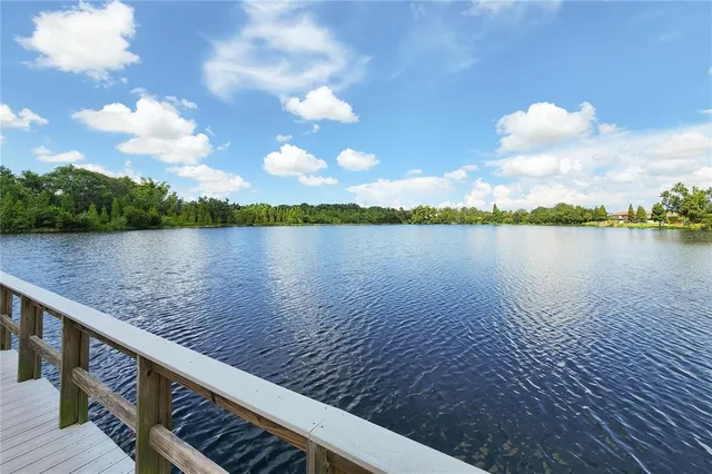 a view of a flower in a garden