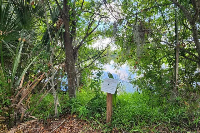 $2,300 | 10687 Lake Montauk Drive, Riverview, FL 33578