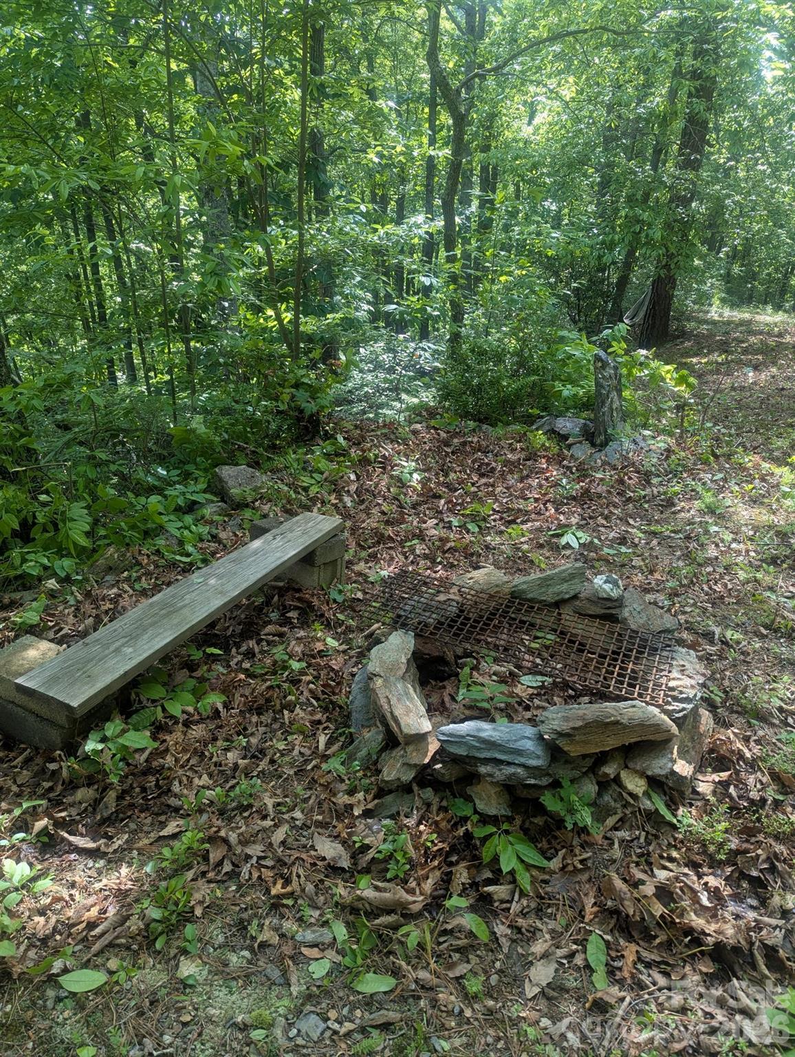 1662 Penley Road Boone, NC 28645 - Photo 18 of 23 a backyard of a house with lots of green space