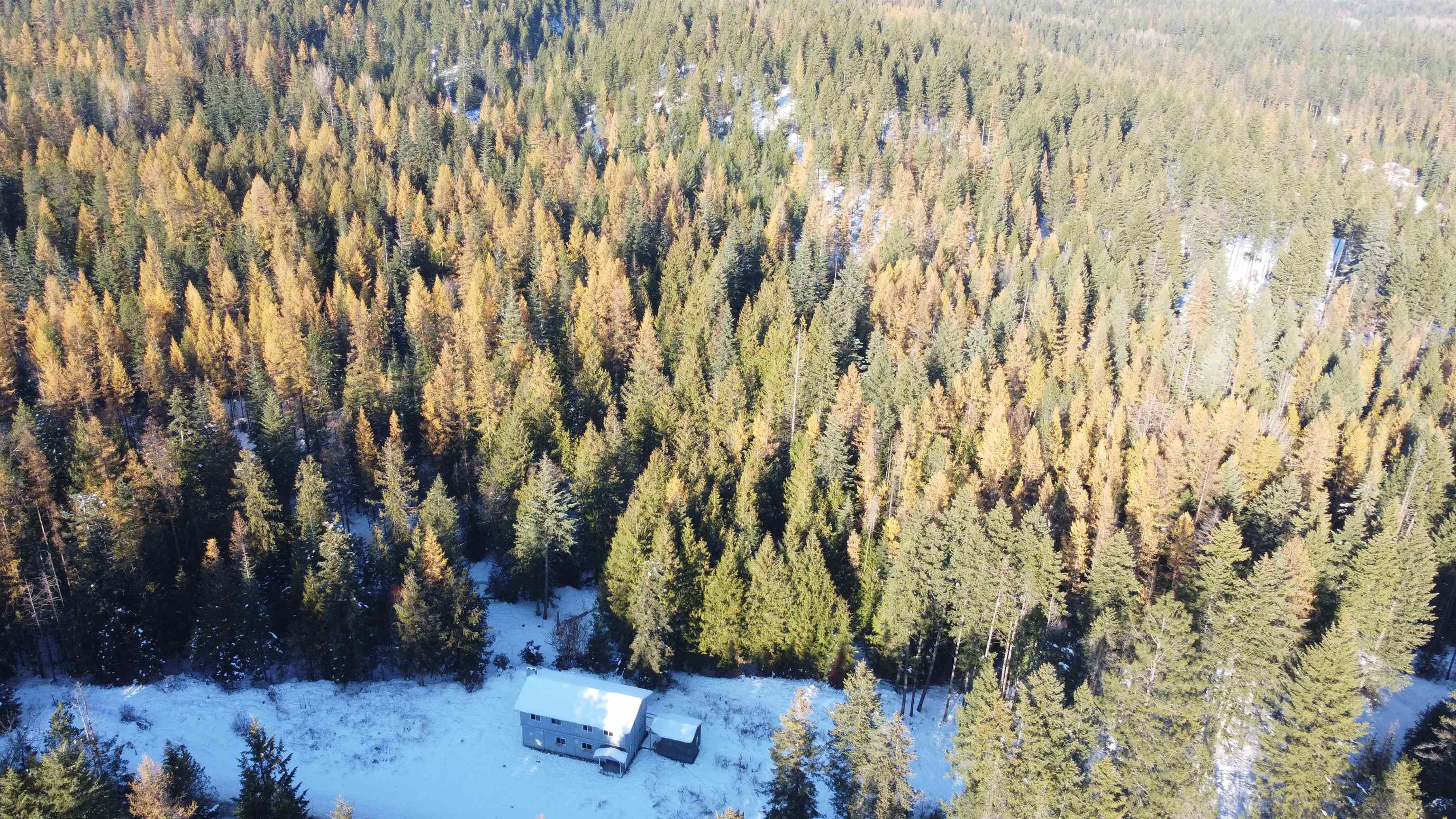 1018 Orin-Rice Road Colville, WA 99114 - Photo 10 of 13
