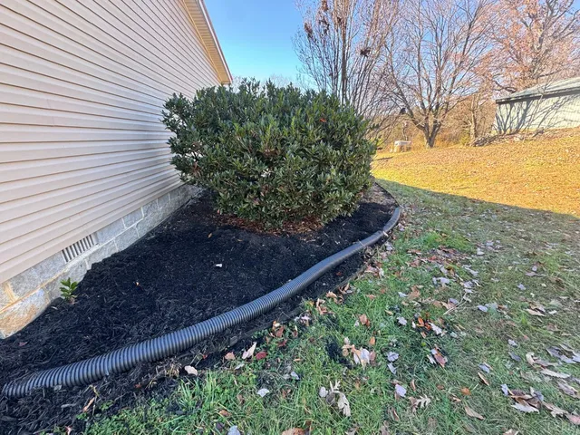 a view of a garden with an outdoor space
