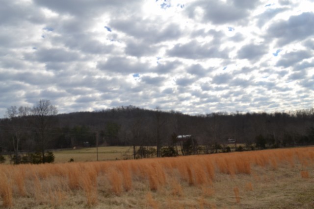 129 Rushing Springs Road Monterey, TN 38574 - Photo 16 of 49 Gallery Image 16