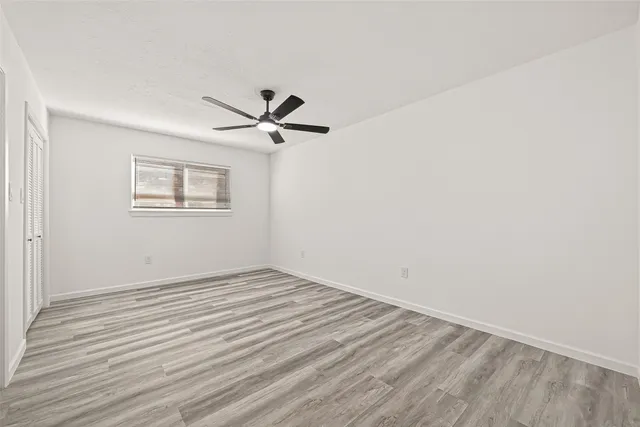 a view of a yard with plants and trees