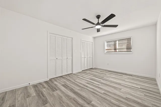 a view of a yard with plants and a large tree