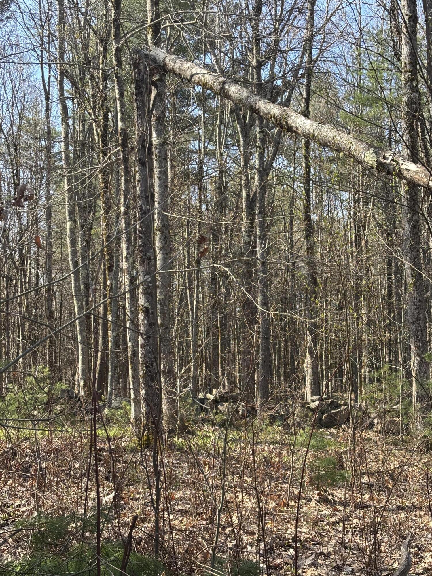 Lot 88 Bolton Hill Road Augusta, ME 04330 - Photo 8 of 17