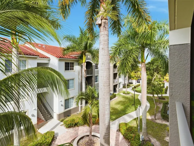 a view of a backyard with plants and palm tree
