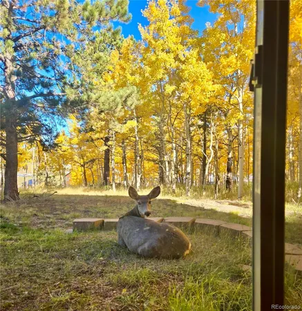 $735,000 | 162 Ridge Top Drive, Divide, CO 80814