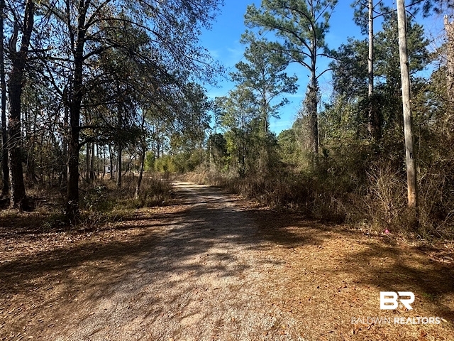 17245 County Road 87 Elberta, AL 36530 - Photo 6 of 11