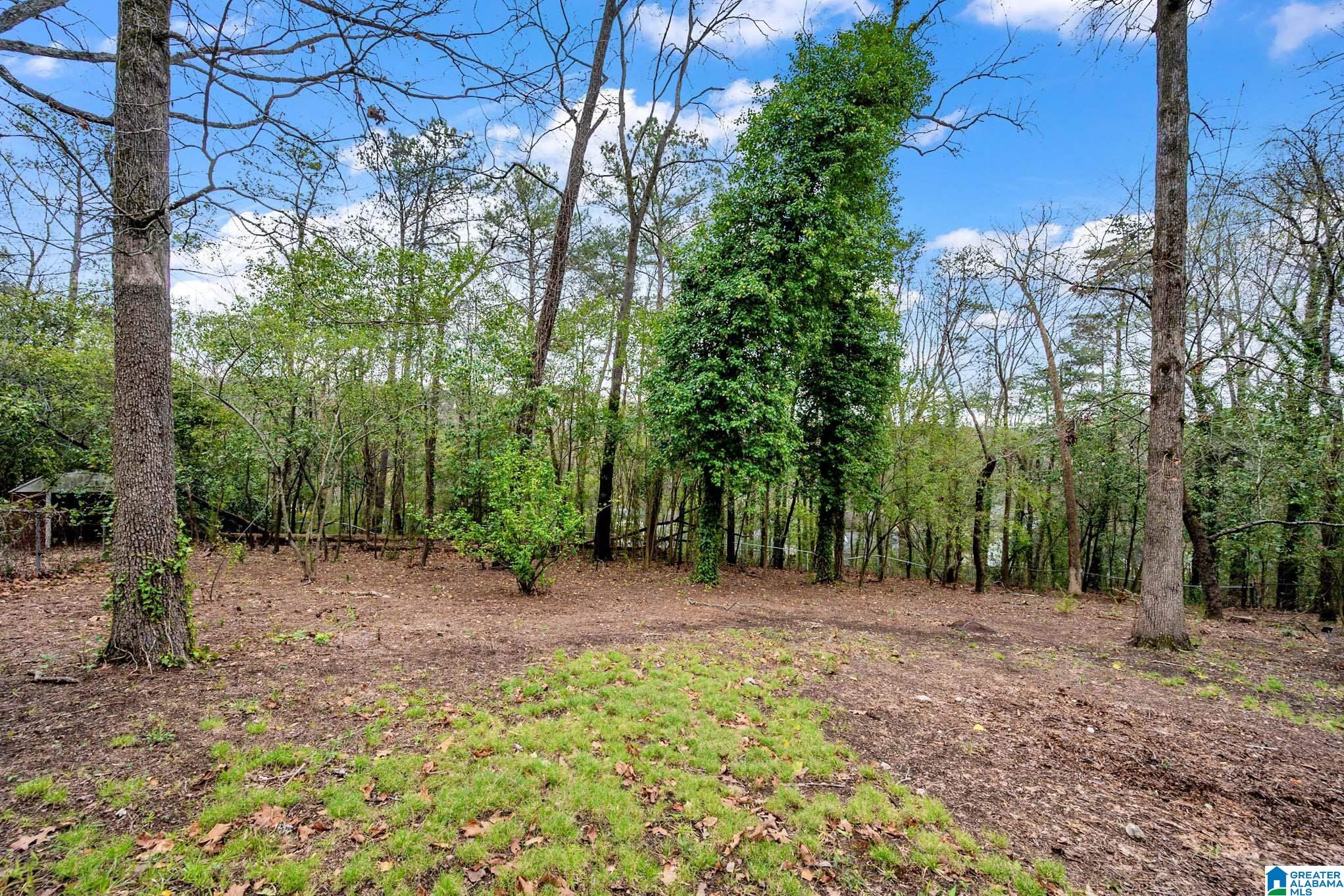 1329 Southhall Road Birmingham, AL 35213 - Photo 39 of 44