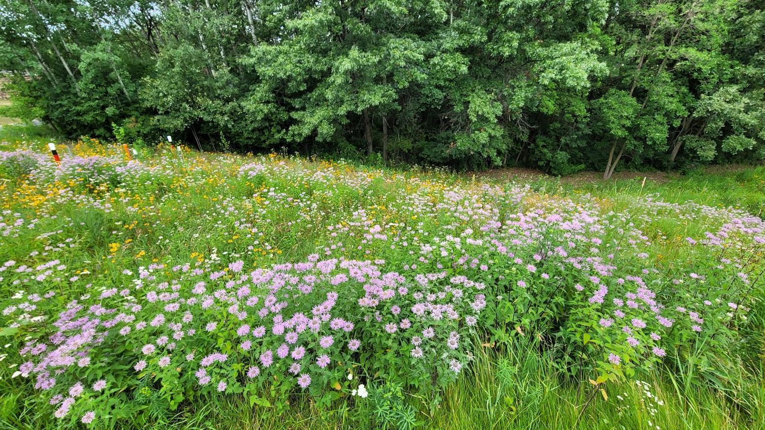 12891 Falcon Drive Apple Valley, MN 55124 - Photo 50 of 57