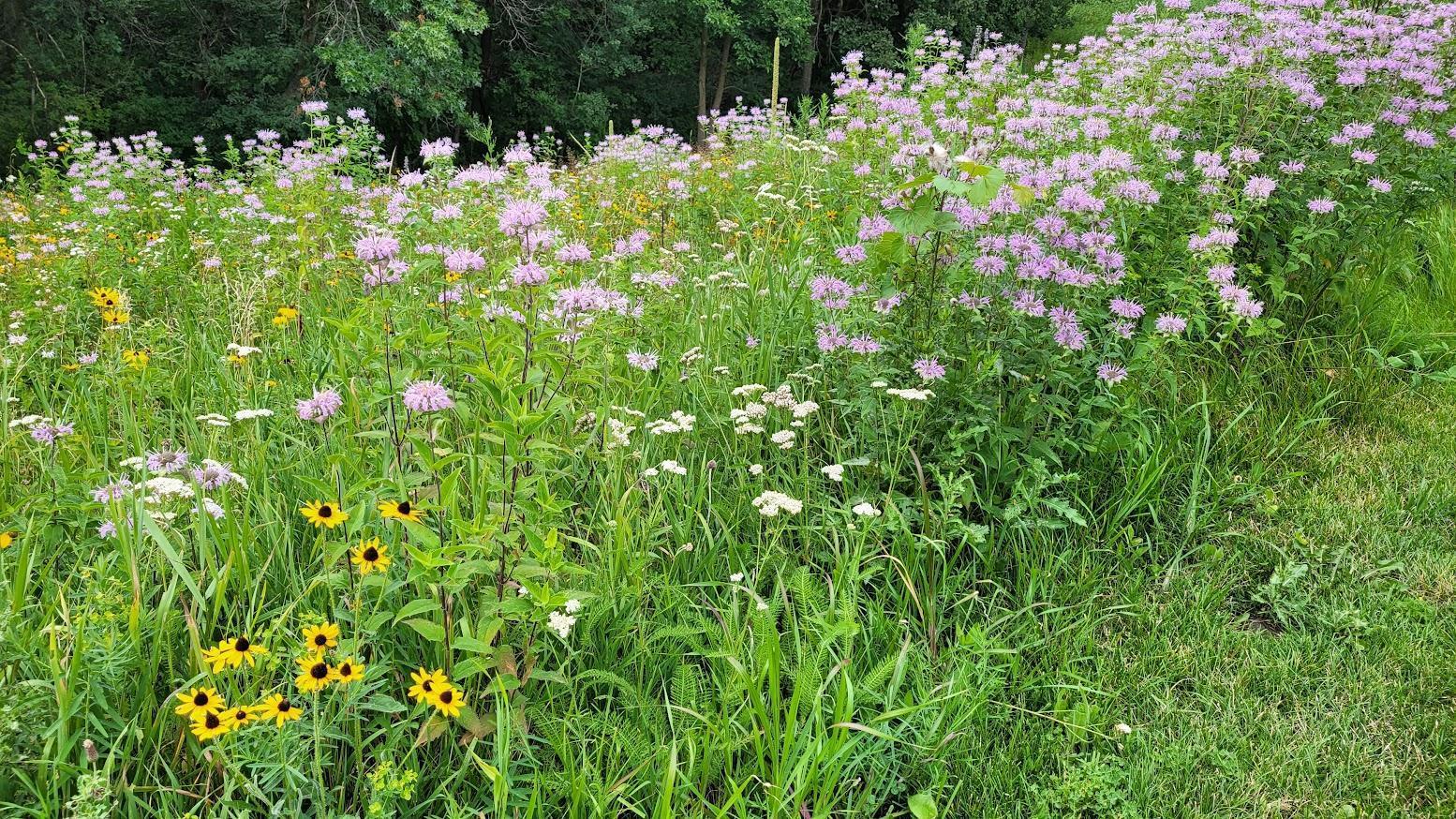 12891 Falcon Drive Apple Valley, MN 55124 - Photo 55 of 57