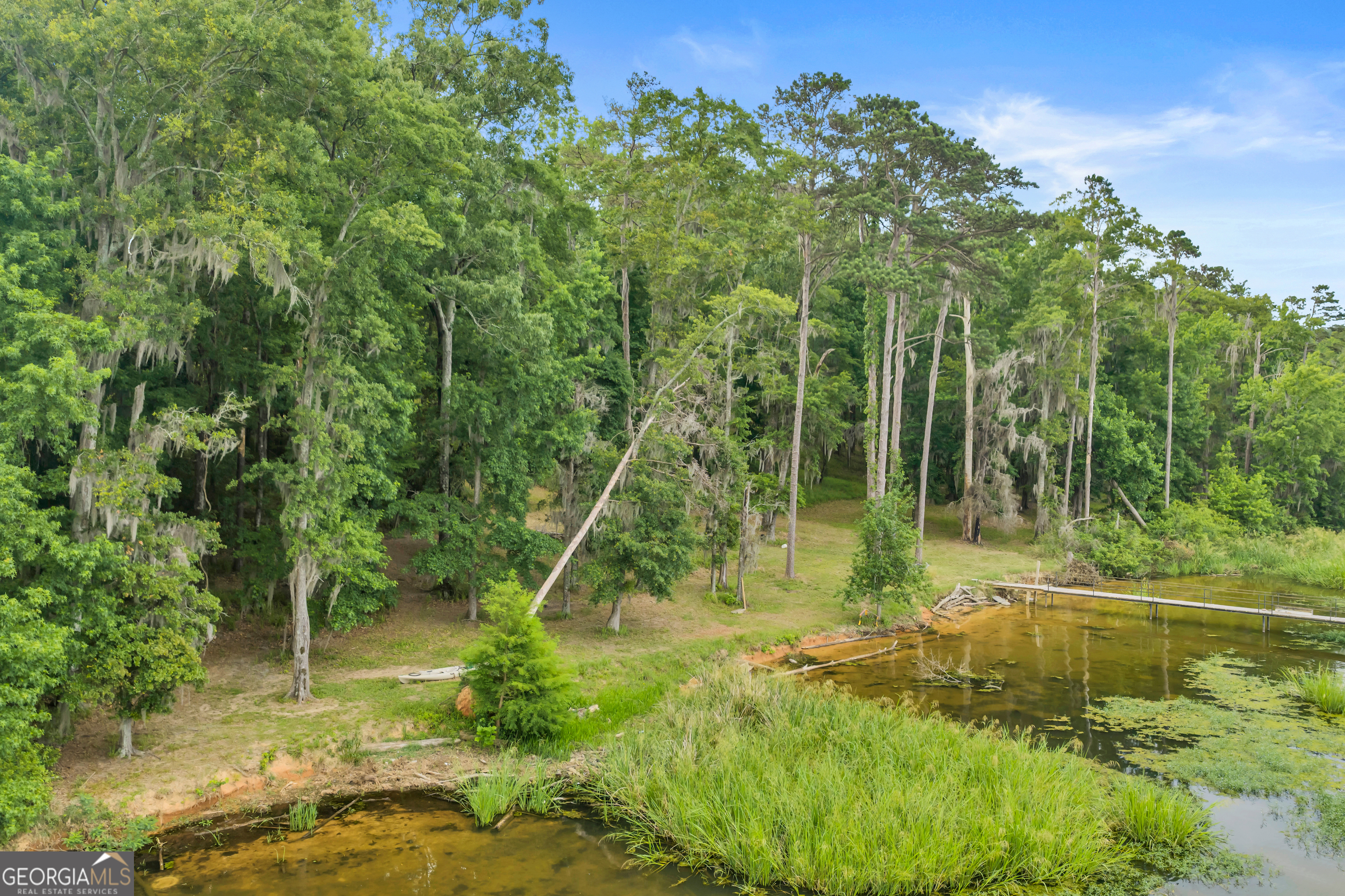 473 Vining Branch Road Georgetown, GA 39854 - Photo 36 of 43 a view of a lush green forest