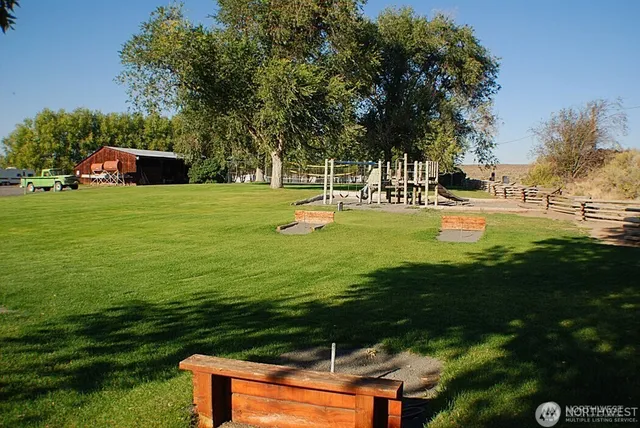 a view of a big yard with large trees and plants