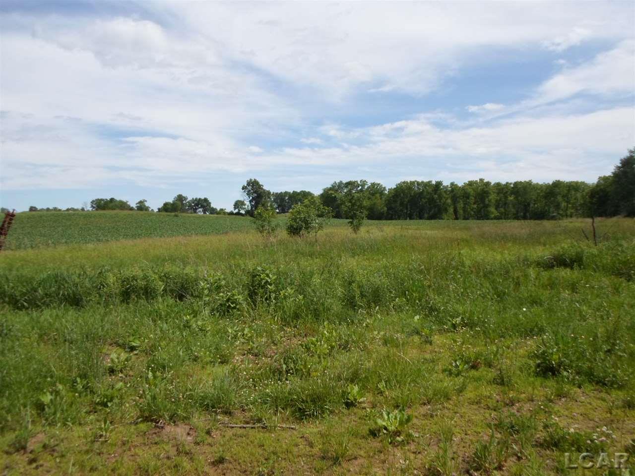 12000 Stephenson Road, Unit PARCEL A Brooklyn, MI 49230 - Photo 8 of 49