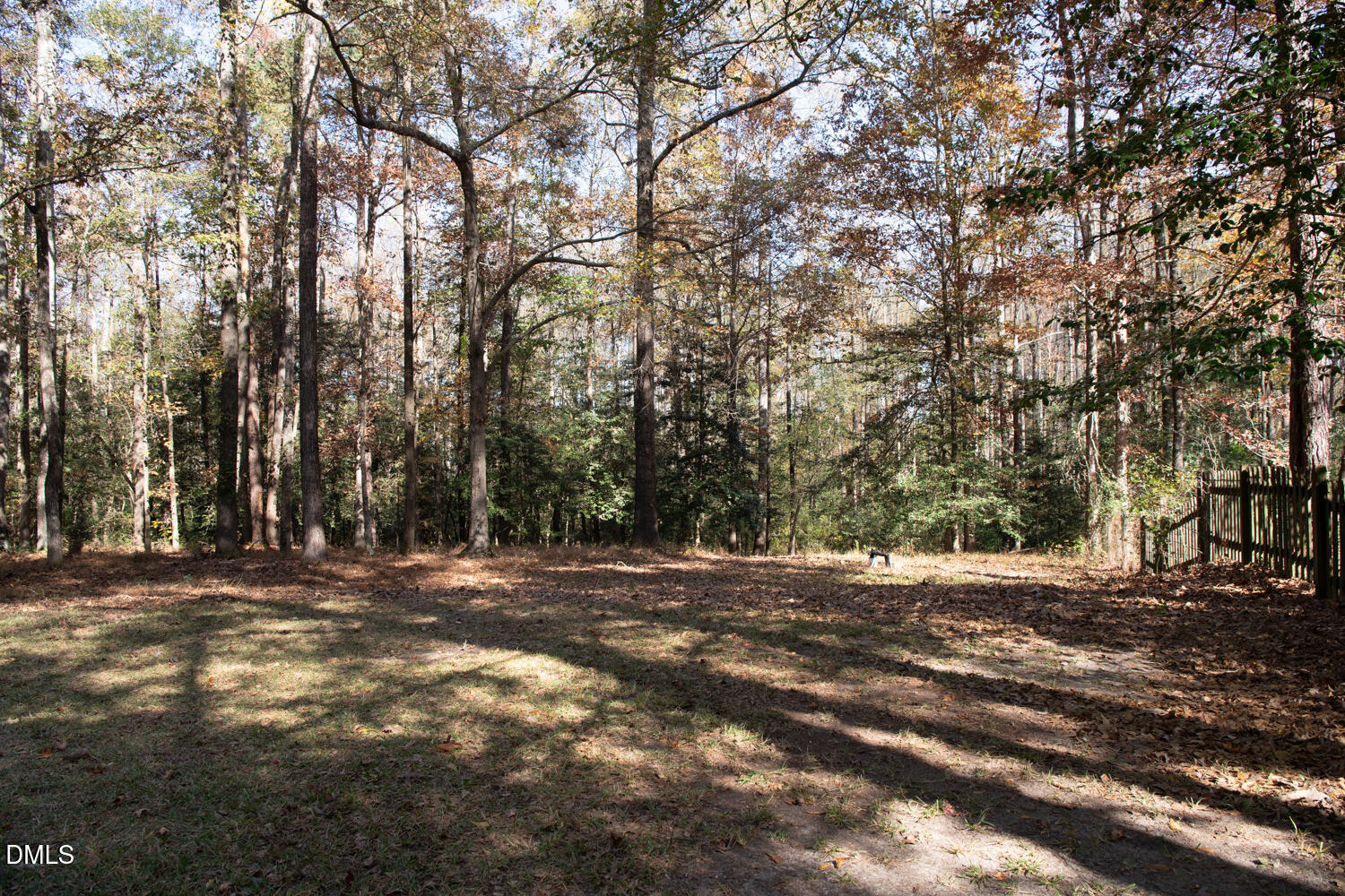 136 Pebblestone Court Willow Spring, NC 27592 - Photo 9 of 24 a view of a tree with a trees