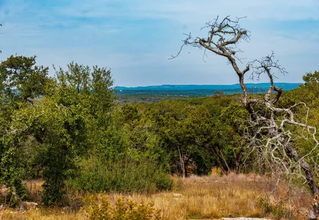 $1,250,000 | 6026 Sentry Point, Fischer, TX 78623
