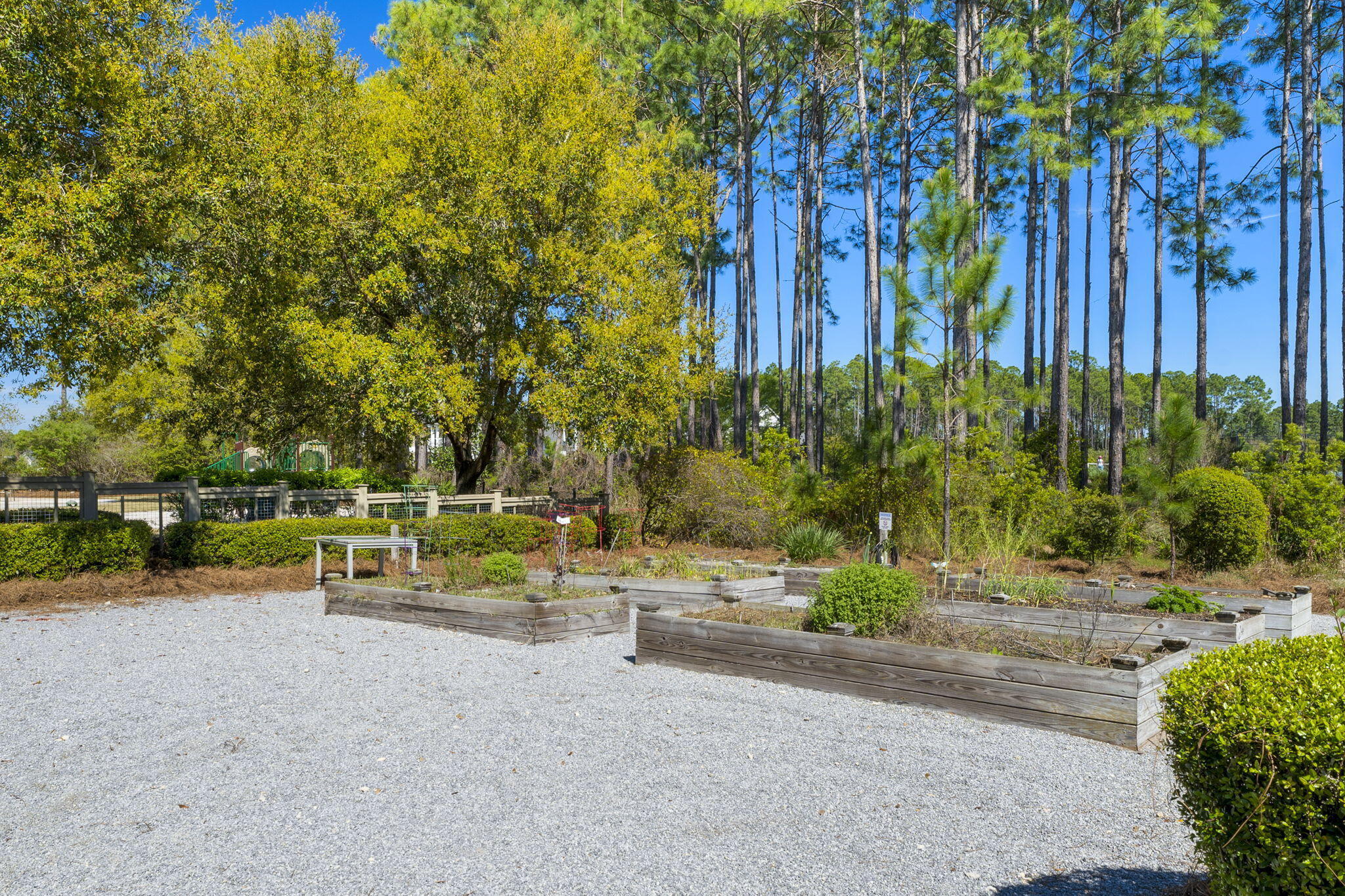 110 Suwannee Dr Inlet Beach Inlet Beach, FL 32461 - Photo 59 of 63 61-web-or-mls-110-suwanne-drive