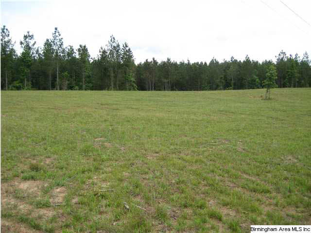 Griffin Road, Unit C Chelsea, AL 35043 - Photo 4 of 8
