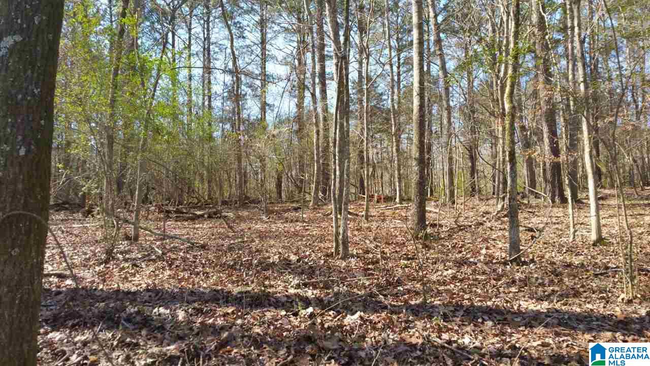 980 Sunset Strip Road, Unit 7 Pell City, AL 35128 - Photo 6 of 6