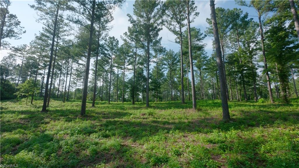 4 Carson Road Cleveland, NC 27013 - Photo 12 of 25 Gallery Image 12
