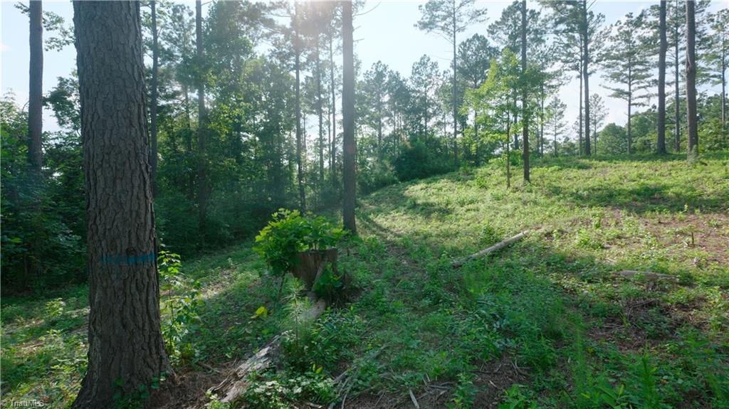4 Carson Road Cleveland, NC 27013 - Photo 13 of 25 Gallery Image 13