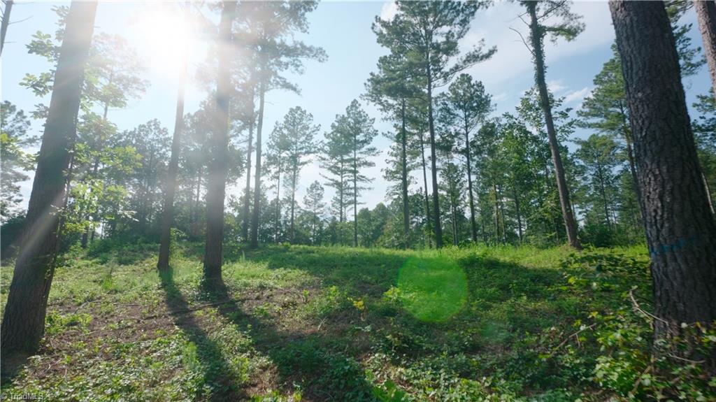 4 Carson Road Cleveland, NC 27013 - Photo 14 of 25 Gallery Image 14