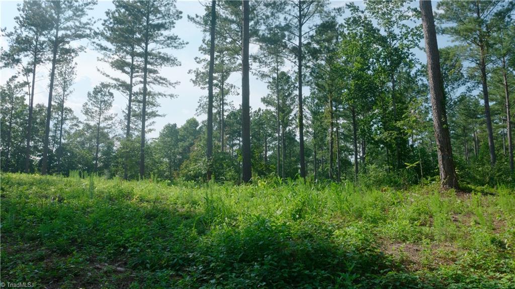4 Carson Road Cleveland, NC 27013 - Photo 15 of 25 Gallery Image 15