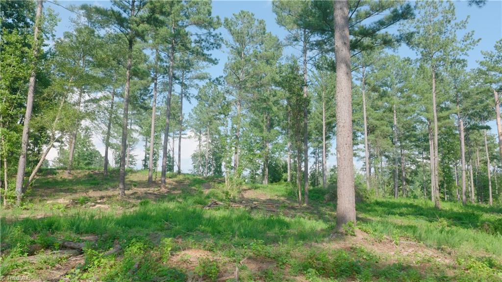 4 Carson Road Cleveland, NC 27013 - Photo 16 of 25 Gallery Image 16