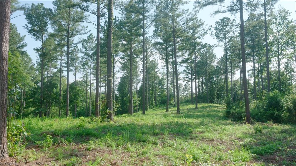 4 Carson Road Cleveland, NC 27013 - Photo 17 of 25 Gallery Image 17
