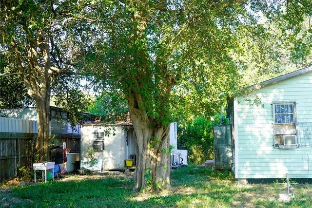 a view of yard with small plants and trees
