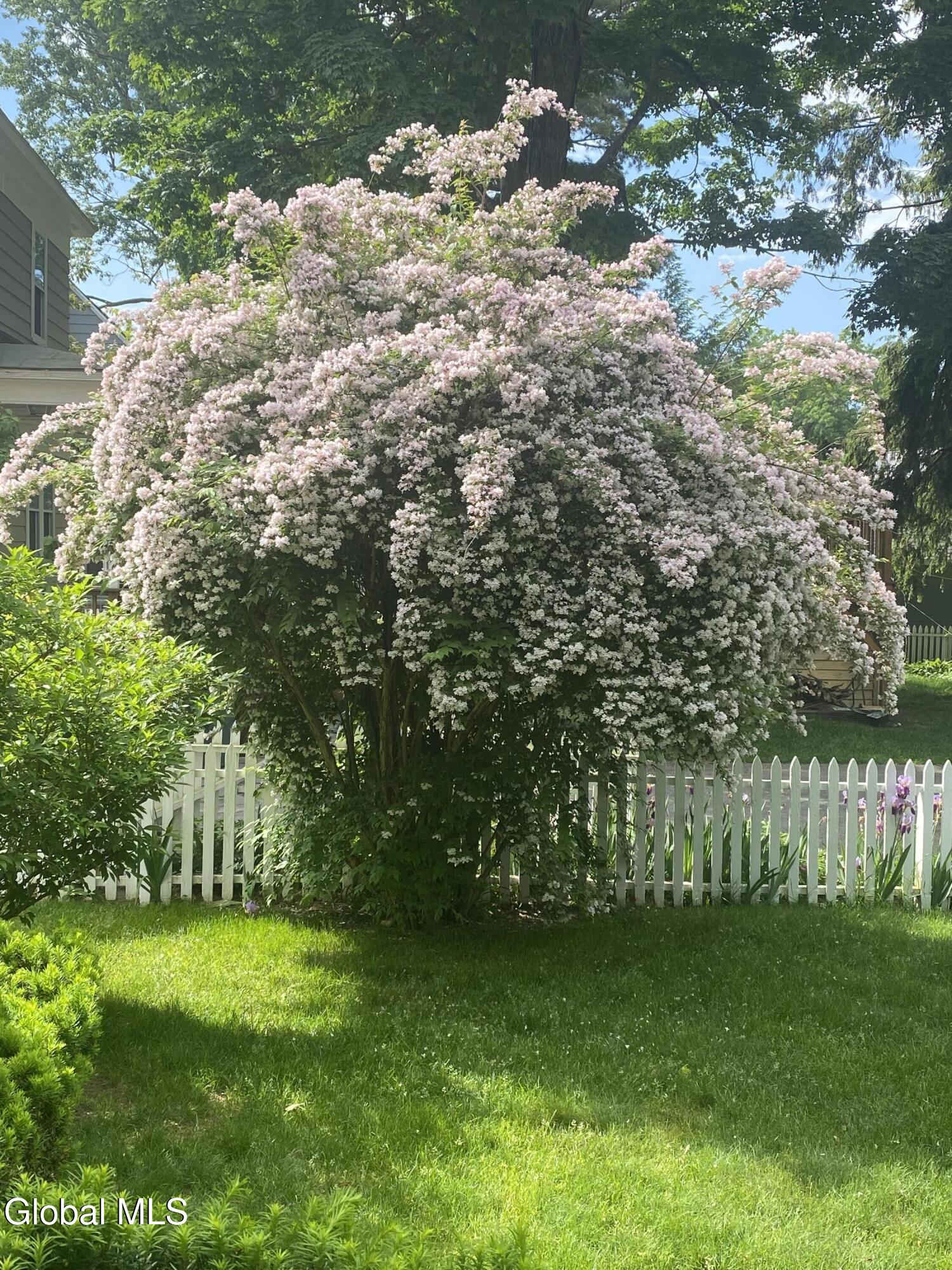 21 Roweland Avenue Bethlehem, NY 12054 - Photo 38 of 42 Tree