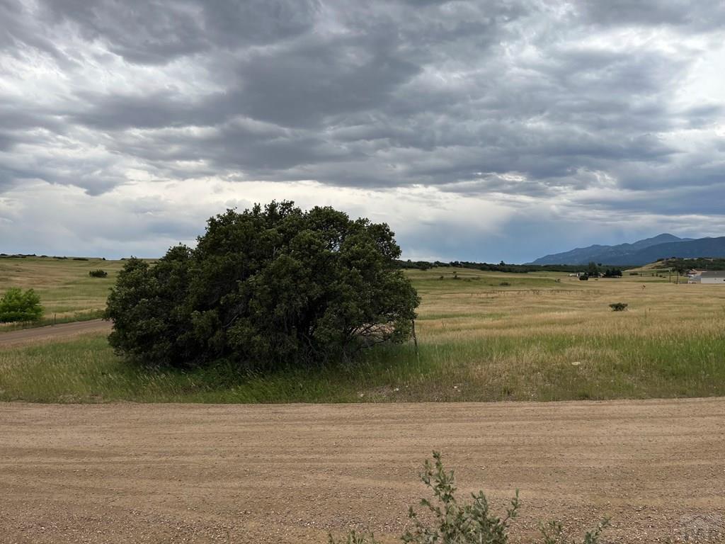 Lot 565 Trappers Trail Drive Rye, CO 81069 - Photo 7 of 10